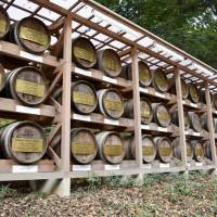 While sake barrels are a common sight at shrines, Meiji Shrine also has wine barrels on display. Emperor Meiji loved Western culture, which included wine. These barrels are from France\'s Burgundy province. | MIINA YAMADA