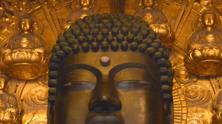 Great Buddha of Nara has only half its reported number of hair curls | The  Japan Times