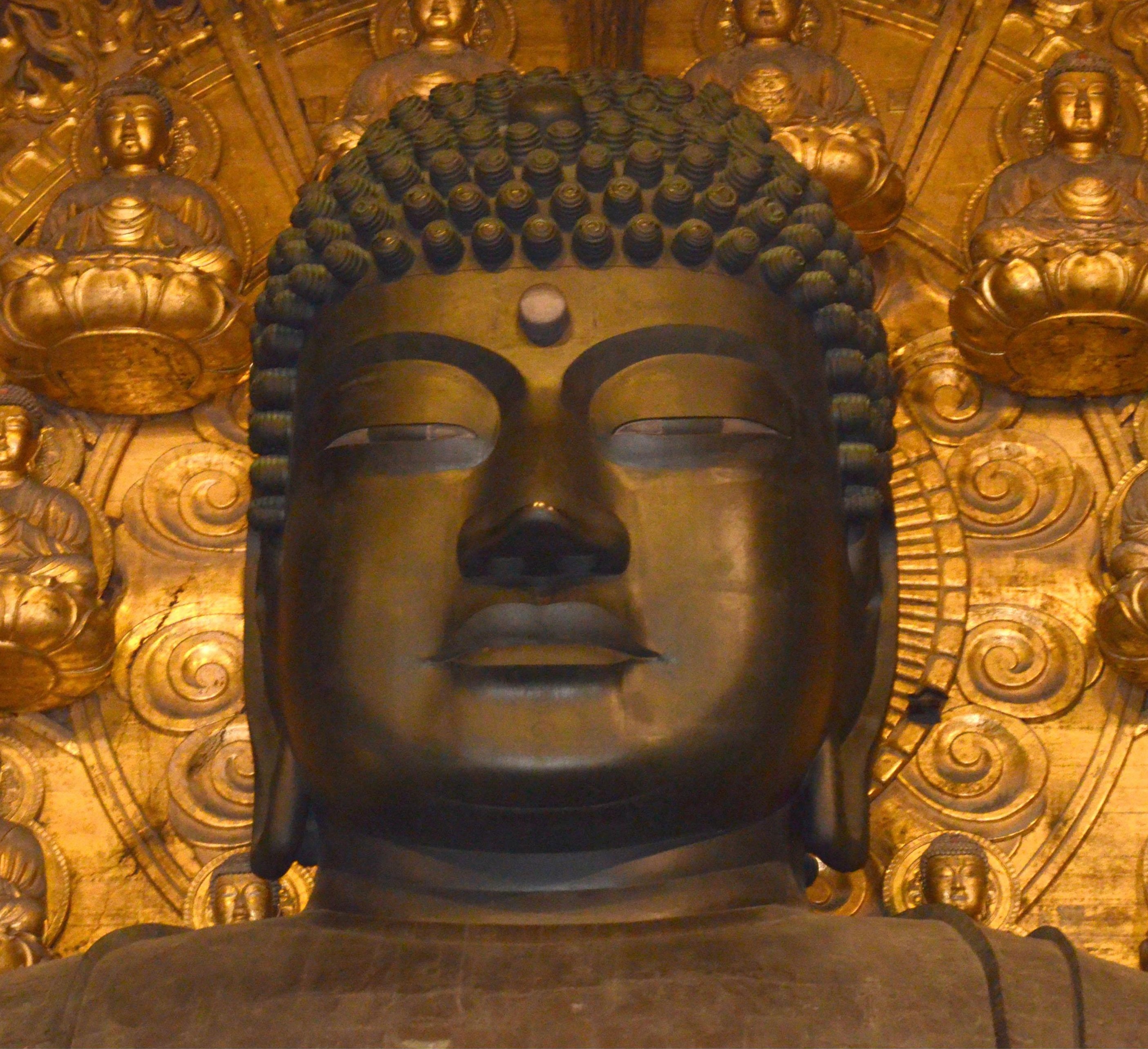New research released Thursday shows that the Great Buddha of Nara has only half the number of spiraling curls of hair on its bronze head as are attributed to it in ancient documents. | KYODO