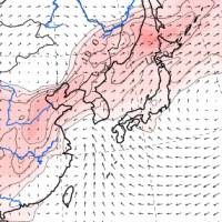 A screenshot shows a simulation from Wednesday morning that forecasts pollution from China drifting over northern Japan at about 3 p.m. on Thursday. So-called PM2.5 particles can cause health complications. | NATIONAL INSTITUTE FOR ENVIRONMENTAL STUDIES