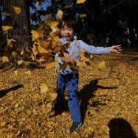Kosei Kanetsuki tosses golden gingko leaves in the air at Shiba Toshogu Shrine. | KIT NAGAMURA