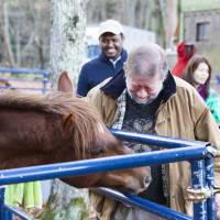 Horsing around: Old Nic greets Chacha at the C.W. Nicol Afan Woodland Trust as Ethiopian Ambassador Markos Rike looks on. | CONAN MORIMOTO