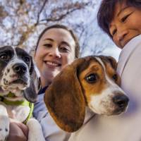 The world\'s first \"test-tube puppies\" are held by lead researcher Jennifer Nagashima (left), of the Cornell-Smithsonian Joint Graduate Training Program, and co-author Nucharin Songsasen. | CORNELL UNIVERSITY / JEFFREY MACMILLAN / REUTERS