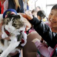 Children stroke Love, the new feline \"station master\" of Ashinomaki Onsen Station in the town of Aizuwakamatsu, Fukushima Prefecture, on Thursday. Love succeeds Bus, the cat that first took on the role in 2008 and retired due to old age the same day. | KYODO