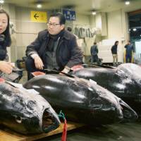 Tuna caught in Vietnamese waters are auctioned at a wholesale market in Osaka on Friday. | KYODO