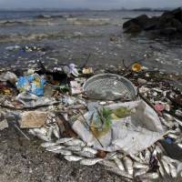 Dead fish lie on the shore of Guanabara Bay in Rio de JaneiroWednesday. Thousands of dead fish washed up on the shores not far from where events are being held at this year\'s Olympic Games, environmental officials said. | REUTERS