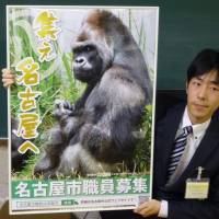 A poster for Nagoya\'s municipal employee recruitment drive features Shabani the gorilla. | KYODO
