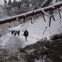Employees from the Tobira Onsen Myojinkan inn evacuate on foot Saturday afternoon in Matsumoto, Nagano Prefecture, after rescuers cleared a walking path through the snow and trees. | COURTESY OF TOBIRA ONSEN MYOJINKAN INN / KYODO
