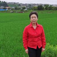 Setsuko Yasuda The future of rice farming in Japan