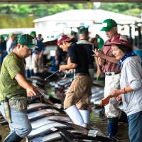 Tuna are prepared for auction in Nachi-Katsuura, Wakayama Prefecture, in September 2015 | ROB GILHOOLY