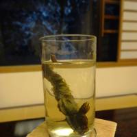 Kajika sake comes with a marinated fish. | MANDY BARTOK