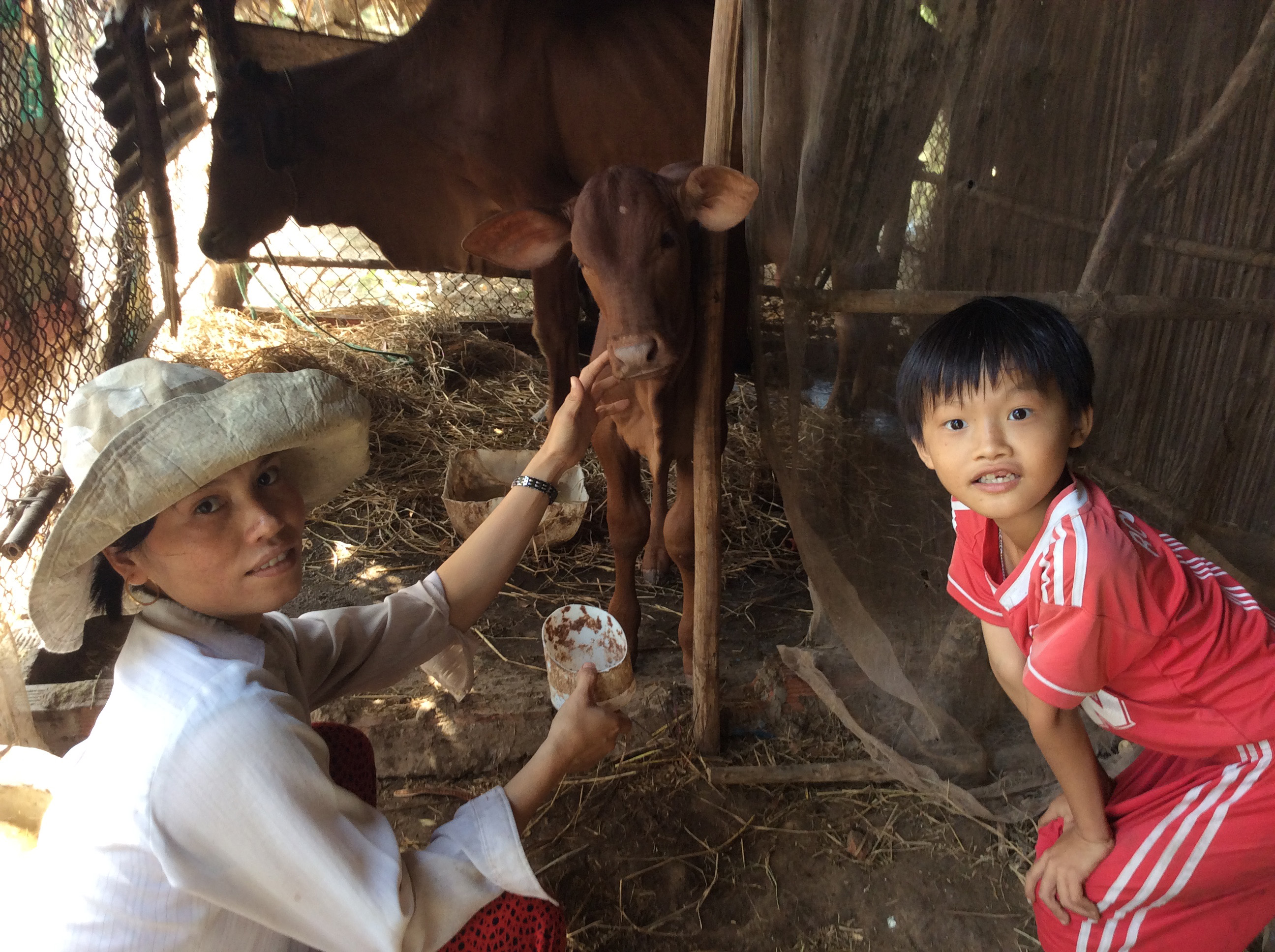 Happy customers: Phan Thi Hong Nguyen and her son are among the many families in Ben Tre province helped by Seed To Table’s “cow bank.” | COURTESY OF MAYU INO