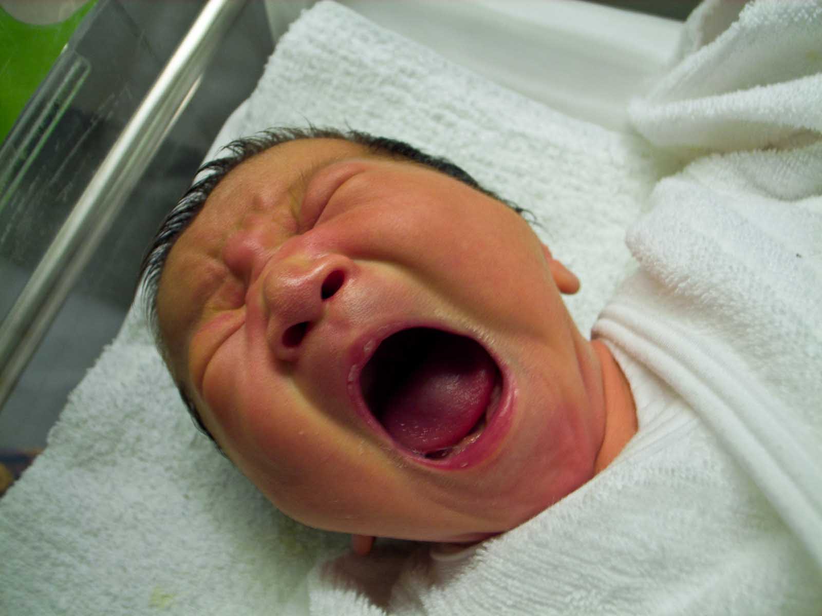 Tokyo's fertility rate lowest in Japan as births fall for 7th year