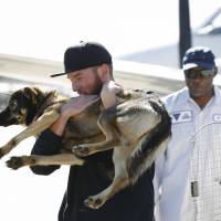 Conner Lamb carries Luna, an 18-month-old dog that fell off a fishing boat in February, after Luna arrived by a Navy commuter flight Wednesday at Naval Base Coronado in California. Luna was found Tuesday on San Clemente Island, a Navy-owned training base 70 miles off San Diego. | HAYNE PALMOUR IV / THE SAN DIEGO UNION-TRIBUNE VIA AP