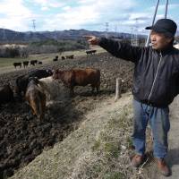Masami Yoshizawa shows his Ranch of Hope in Namie, Fukushima Prefecture, on Feb. 23. Yoshizawa has been raising 330 cows at his ranch in the no-go zone just outside the crippled Fukushima nuclear plant, defying a government order to kill them. For rancher near Fukushima, tending herd is act of defiance