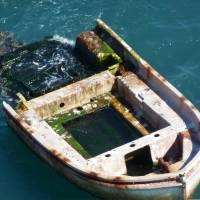 The bow of a derelict boat possibly from the March 2011 tsunami in Japan is seen floating off the coast of Oregon in this undated photo from the Oregon Parks and Recreation Department. Algae and an oyster are among the clues Oregon biologists believe may link the vestiges of a sea-ravaged boat that washed up on a state beach Tuesday. | OREGON PARKS AND RECREATION DEPARTMENT/HANDOUT VIA REUTERS