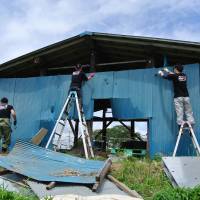 Rebuilding a storehouse at Yotsuba Farm, Higashi-Matsushima　東松島、よつばファームでの倉庫の修理 | PHILIP  MORRIS JAPAN