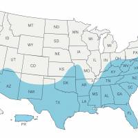 This image made available by the Centers for Disease Control and Prevention on Wednesday shows a map of the United States with an estimated range of the Aedes aegypti mosquito for 2016 indicated in blue. On Wednesday, federal health officials said the mosquitoes, including the Aedes aegypti, that can transmit the Zika virus may live in a broader swath of the U.S. than previously thought. | CDC VIA AP
