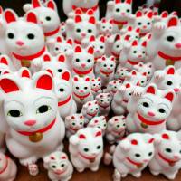 Maneki neko (beckoning cat) ornaments are seen at Gotokuji Temple in Tokyo\'s Setagaya Ward on March 12. Visitors purchase a cat at the temple and then set it in place in gratitude for their wishes coming true. | YOSHIAKI MIURA