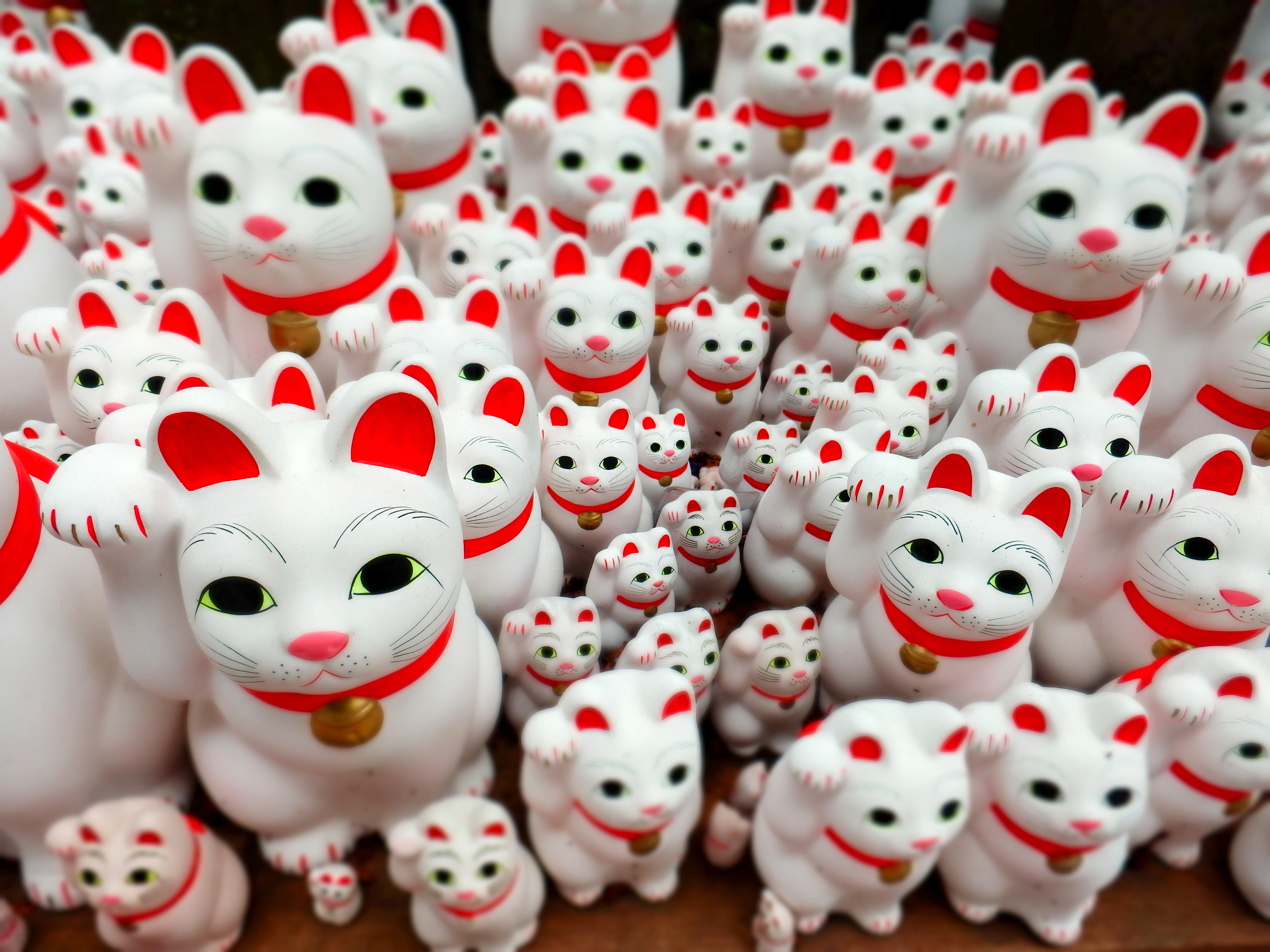 The Maneki-Neko cat - ROPPONGI