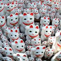 Maneki neko cat ornaments of different sizes are placed at Gotokuji Temple in Tokyo\'s Setagaya Ward on March 12. | YOSHIAKI MIURA