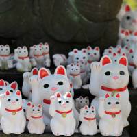 Maneki neko cat ornaments of different sizes are placed at Gotokuji Temple in Tokyo\'s Setagaya Ward on March 12. | YOSHIAKI MIURA