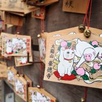 Wooden prayer tablets decorated with images of a beckoning cat and a monkey, this year\'s Chinese zodiac symbol, are displayed at Gotokuji Temple in Tokyo\'s Setagaya Ward on March 12. | YOSHIAKI MIURA