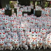 Maneki neko cat ornaments are arranged at Gotokuji Temple in Tokyo\'s Setagaya Ward on March 12. | YOSHIAKI MIURA