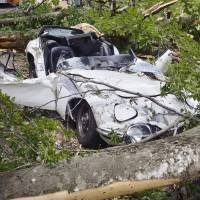 A photo shows a car owned by a man in Nara Prefecture being wrecked by a fallen tree in 2014. The man is seeking &#165;39 million in damages from the Toyoma Prefectural Government, saying the prefecture failed to take preventive measures. | KYODO
