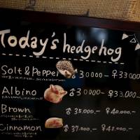 A board shows a selection of hedgehogs for sale at the new animal-themed cafe, which has 20 to 30 hedgehogs of different varieties. Customers have been lining up to play with the prickly mammals, which have long been sold in Japan as pets. The cafe\'s name Harry alludes to the Japanese word for hedgehog, <em>harinezumi</em>. | REUTERS