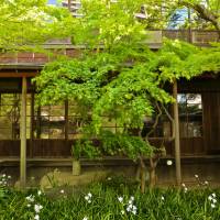 A garden at Toyko\'s Sanuki Club | KIT NAGAMURA