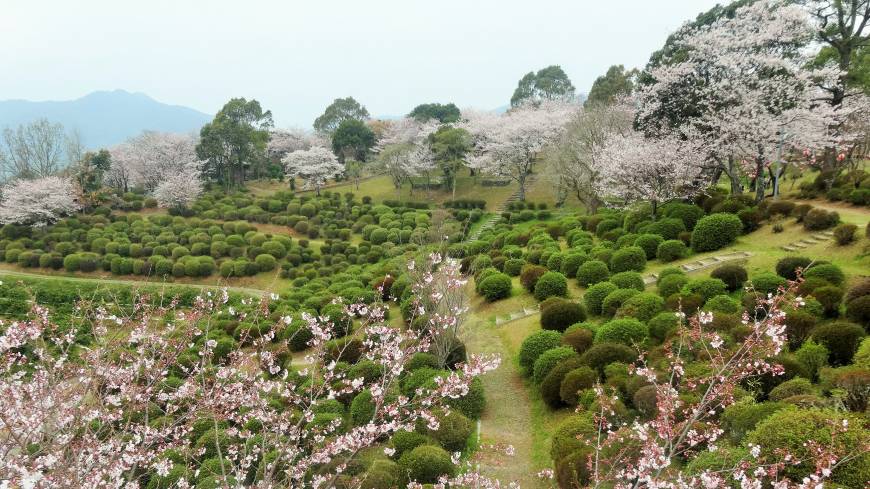 Exploring Tabaruzaka's idyllic but forgotten samurai battleground 