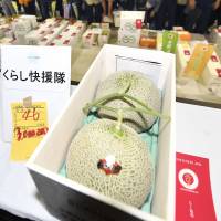 A pair of melons produced in Yubari, Hokkaido, on Thursday fetched a record &#165;3 million at a Sapporo wholesale market. | KYODO