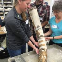Jessi Halligan (left) and other researchers hold a partially reassembled mastodon tusk from the Page-Ladson archaeological site in Florida in 2012. | AP