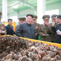 North Korean leader Kim Jong Un visits a tree nursery in this undated photo released Sunday. | REUTERS