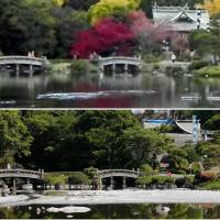 These photos from the city of Kumamoto show Suizenji Jojuen park\'s pond with spring water (above) in November 2012. The lower photo was taken Sunday. | IZUMI SHRINE, KYODO