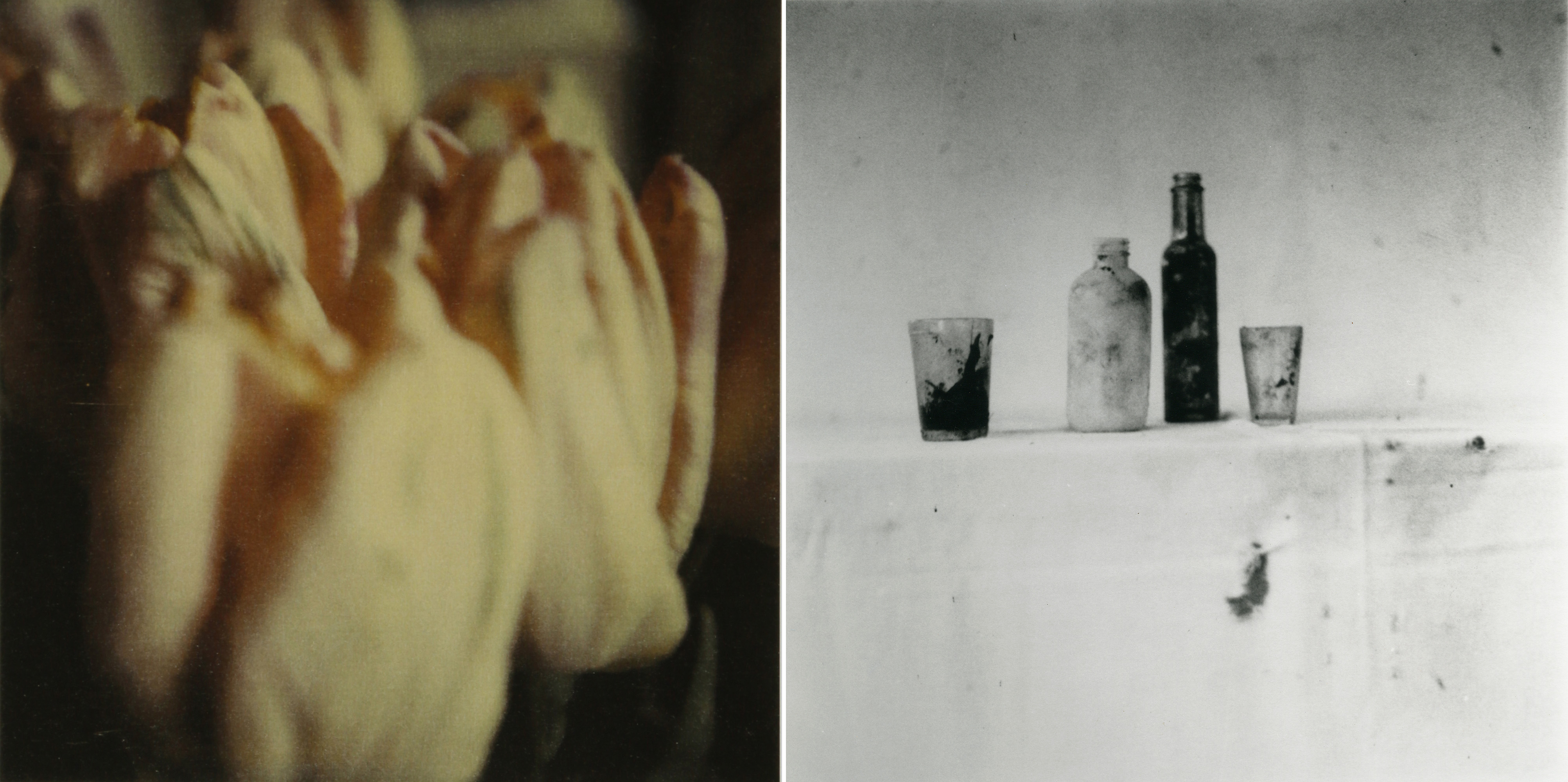 Cy Twombly Photographs Lyrical Variations DIC川村記念美術館 Cy Twombly Photographs Lyrical Variations DIC川村記念美術館