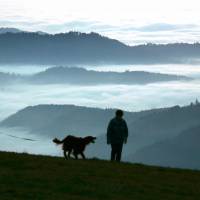 A couple walk their dog near Freiburg, in the Rhine Valley of southern Germany. | AP