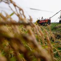 The number of foreigners working illegally on farms in Japan increased threefold over the three-year period ending in 2015. | BLOOMBERG