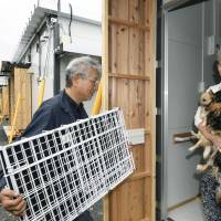 An elderly couple move into temporary housing in Kosa, Kumamoto Prefecture, with their pet dogs Sunday. | KYODO
