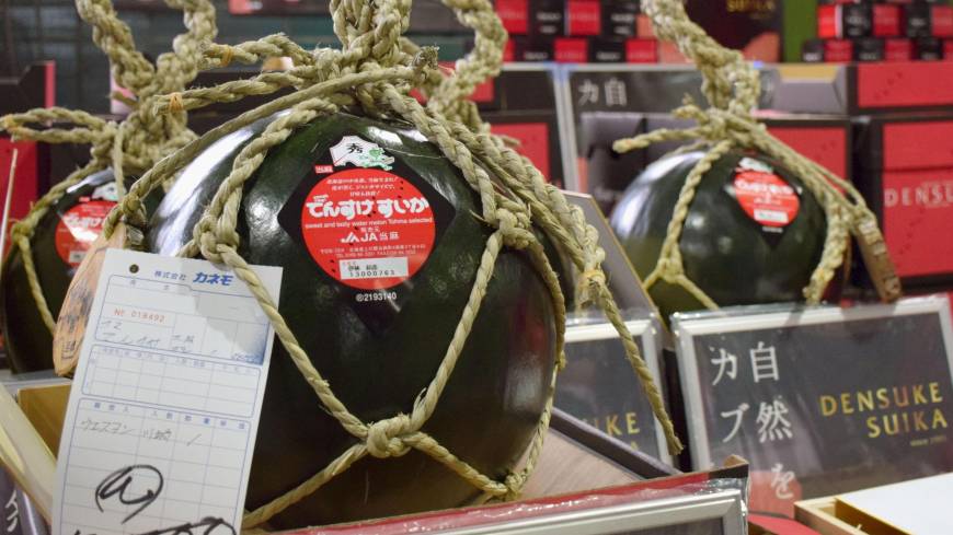 Black watermelon fetches ¥500,000 in season's first auction | The Japan Times