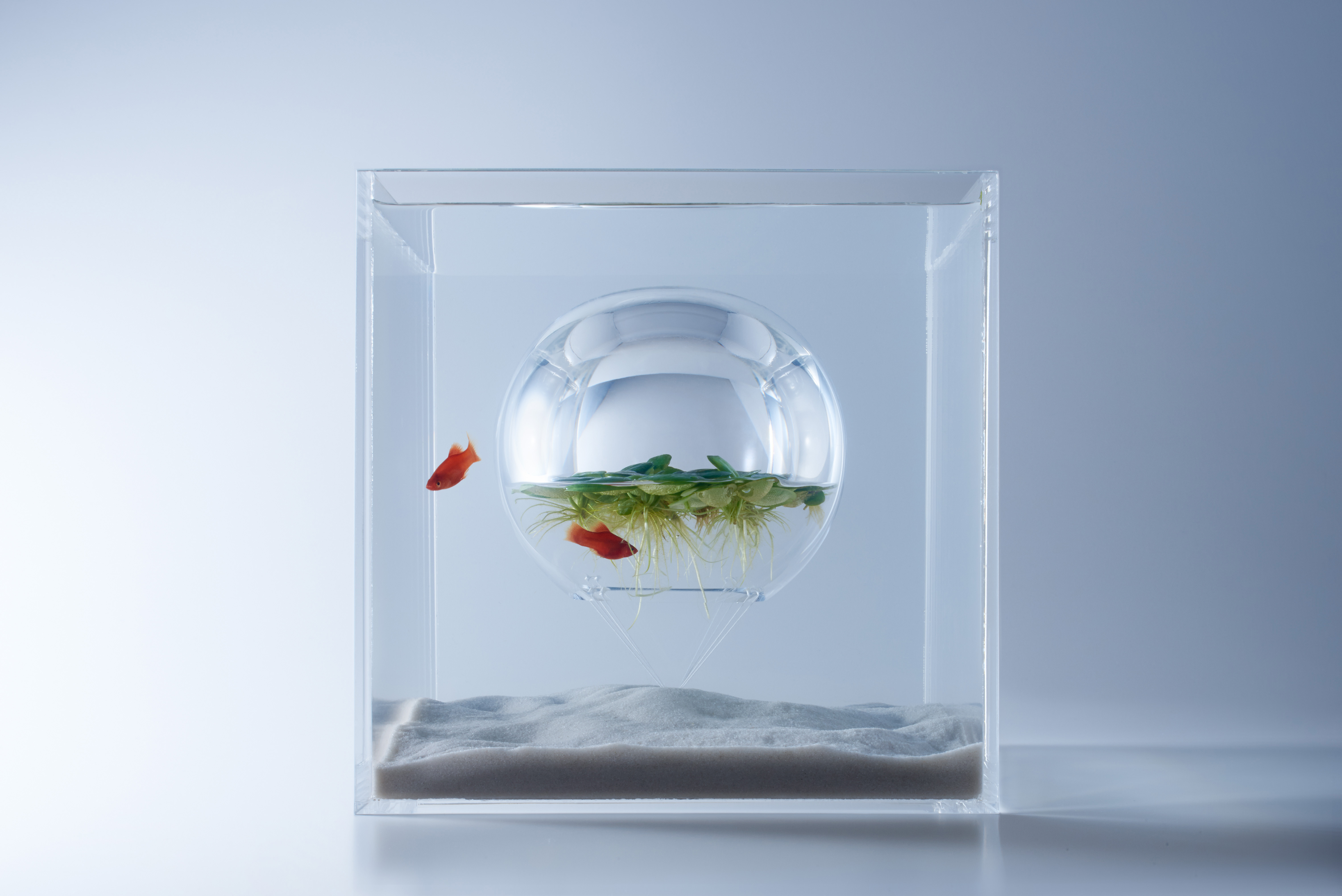 Japanese Design japanese design reveals all | the japan times Japanese Design japanese design reveals all | the japan times