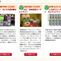Screen shot of web portal site for products being offered as gifts in exchange for \"hometown tax\" donations | REUTERS
