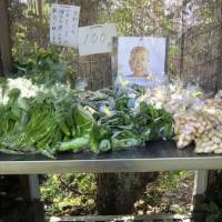 The gods know if you\'re honest: An unmanned farm stand in Inzai | REUTERS