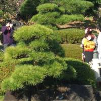 Head first: Newly married couple having their picture taken at a park in Makuhari | REUTERS