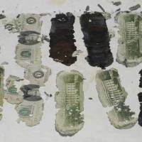 These decayed &#36;20 bills, identified as part of a ransom payment to a hijacker known as D.B Cooper, were found in Oregon by a young boy in 1980. | REUTERS