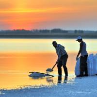 Workers extract salt near the Russian town of Barnaul in 2011. Russian authorities believe a hydropower project in Mongolia will affect the water flow into Lake Baikal, the world\'s largest body of fresh water. | AFP-JIJI
