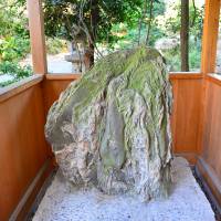 A vulva-shaped natural stone forms the centerpiece of Oagata Shrine in Inuyama, Aichi Prefecture. | FLORIAN SEIDEL / ABANDONED KANSAI