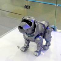 A robot is presented at the Wuhu robotics center in China on June 30. | REUTERS