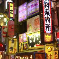 Neon signs for sex industry venues are seen among the bars and clubs in Tokyo’s Kabuki-cho red light district. Economic hardship is pushing many middle-aged women toward the nation’s sex industry, despite the stigma and physical risk. Sex trade a shaky safety net for Japan's working-poor women